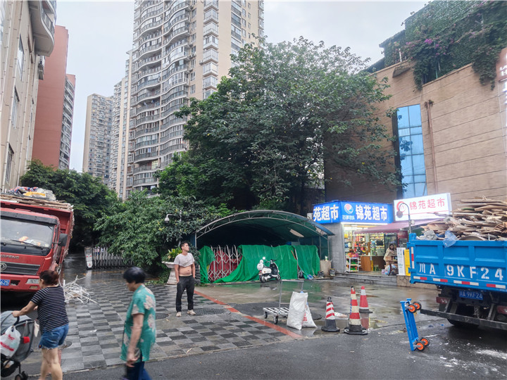 1629896159314.jpg 1629896159314.jpg